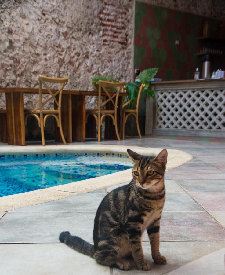 Casa Zahri Boutique Hostel Cartagena Buitenkant foto